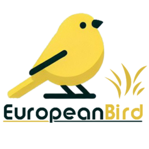 Europeanbird
